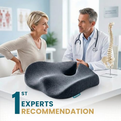 Ergo Office Chair Cushion for Back Pain (Dark Gray & Light Gray)
