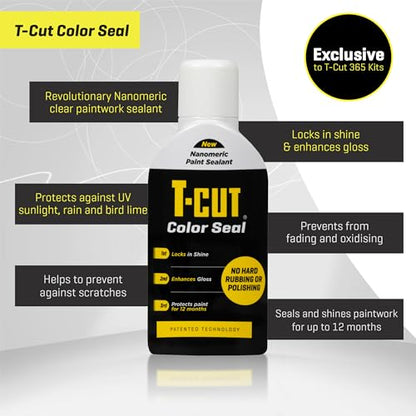 Paintwork Perfection Kit (Black)