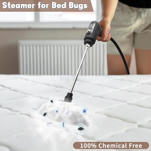 Handheld Steam Cleaner for Home (White / 16PCs)