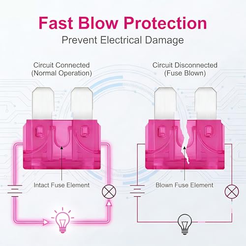 80Pcs) 50 Amp Standard Fuse, 50A Car Blade Fuses for Car/RV/Truck/SUV/Motorcycle/Boat (50A)