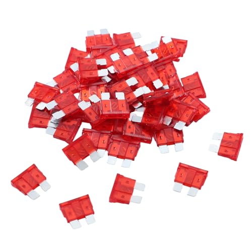 100 Pack Auto Fuses 10 AMP ATC (10 AMP)