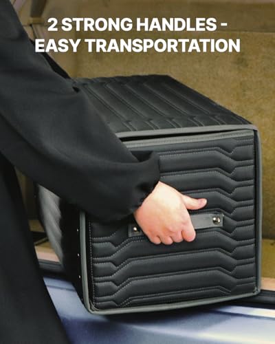 Cargo Organizer (Highway 17)