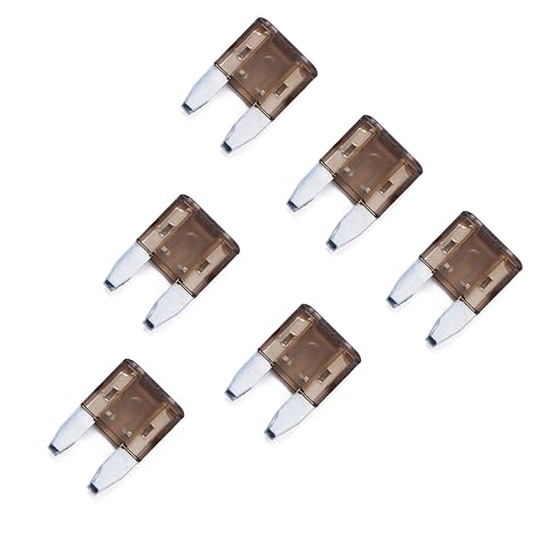 100 Pack Auto Fuses 7.5 AMP APM (7.5 AMP)