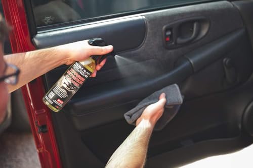 Xpress Interior Cleaner (16 Fl Oz (Pack of 1))