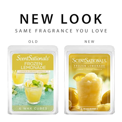 Frozen Lemonade