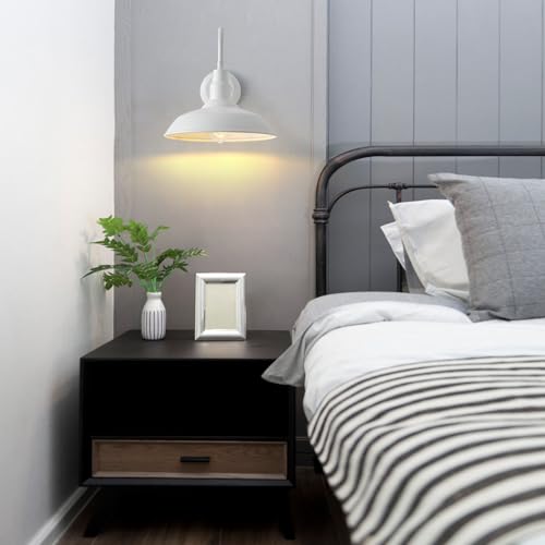 10 Inch Dome Outdoor Gooseneck Barn Lights for Porch (Matte White / 10" Dome)