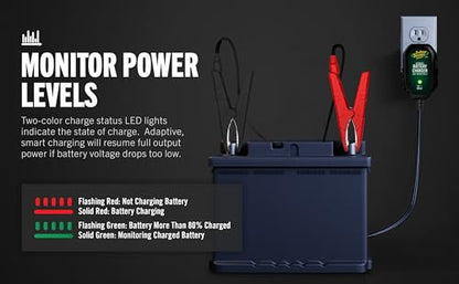 Junior 12V 750mA Charger and Maintainer (12V @ 750mA)