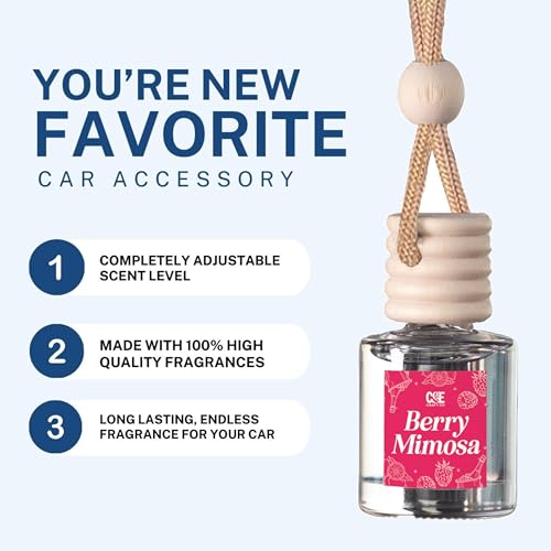CANDECraftCo 2 Pack Hanging Car Air Freshener Diffuser for Essential Oils