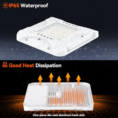 LED Canopy Light with 150W