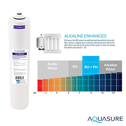 Premier Stage 4 Alkaline Remineralizing Filter Quick Twist Replacement Cartridge AF (Stage 4 - Alkaline Remineralizing)
