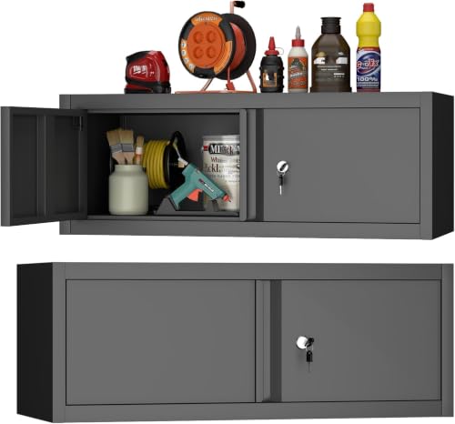 Metal Wall Cabinet with Lock and Doors (Black / 12.8"H)