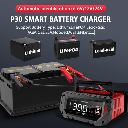 30 Amp Lithium Battery Charger