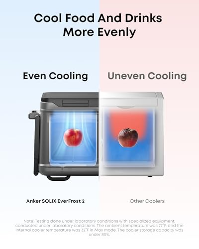 SOLIX EverFrost 2 58 L Electric Cooler (58L Cooler)