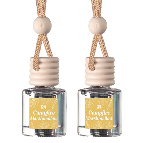 CANDECraftCo 2 Pack Hanging Car Air Freshener Diffuser for Essential Oils