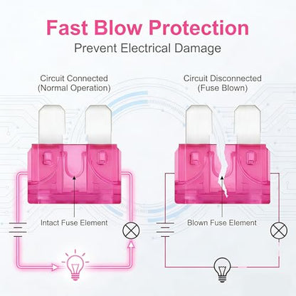 80Pcs) 4 Amp Standard Fuse, 4A Car Blade Fuses for Car/RV/Truck/SUV/Motorcycle/Boat (4A)