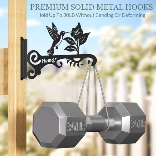 Metal Plant Hooks (2 Pcak Bird)