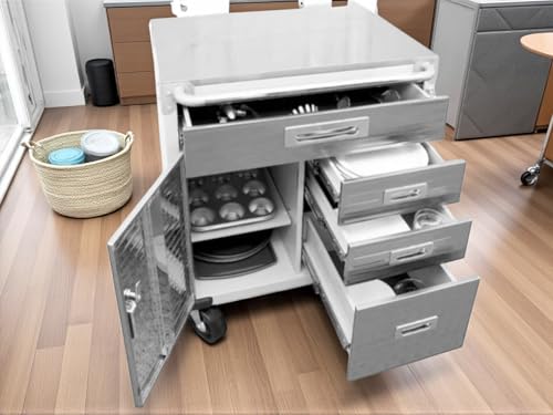 Heavy Duty Rolling Storage Cabinet with Wheels and Drawers (Stainless steel table top 1 Door, 4 Drawer / Granite)
