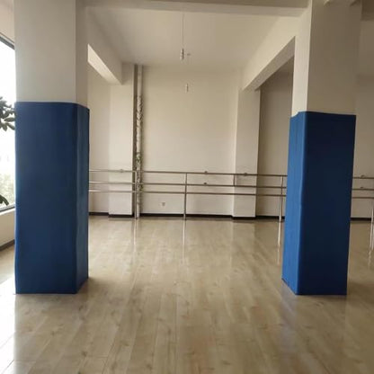 Garage Wall Protector (1.2x5m / Blue)