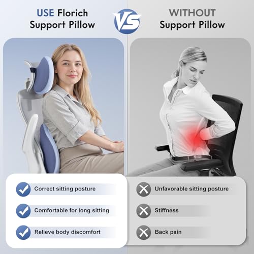 Lumbar Support Pillow and Neck Pillow for Office Chair Car (Blue / 2 Pieces)