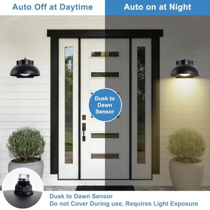 Black Exterior Light Fixtures (Black)
