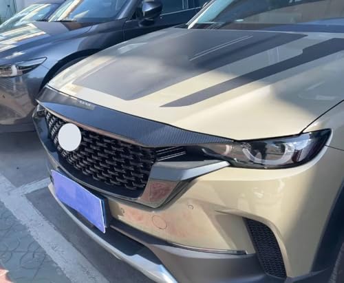 Front Hood Air Deflector (Carbon Fiber)