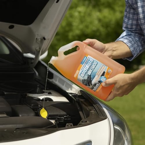 Windshield Washer Fluid 1 Gallon (128 Fl Oz (Pack of 1))