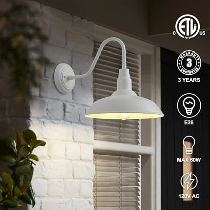 10 Inch Dome Outdoor Gooseneck Barn Lights for Porch (Matte White / 10" Dome)