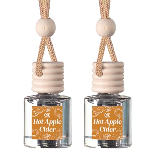 CANDECraftCo 2 Pack Hanging Car Air Freshener Diffuser for Essential Oils