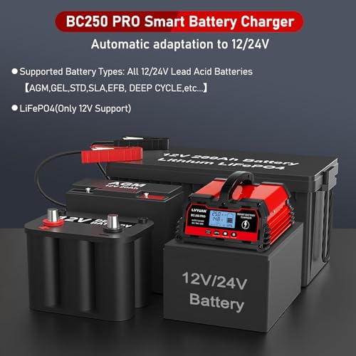 25A Smart Car Battery Charger (25A)