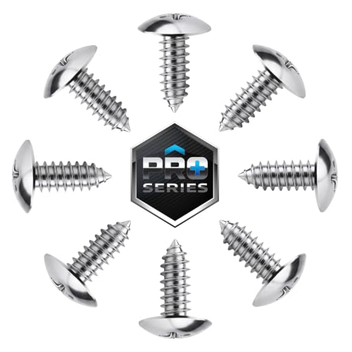 Stainless Steel License Plate Screws for License Plates (B2 (Stainless Steel))