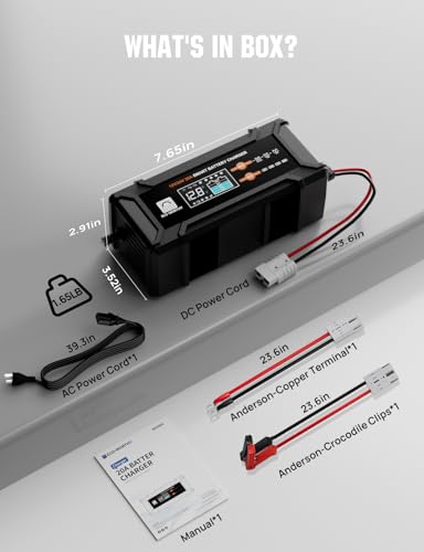 12V 24V 20A Smart Battery Charger for Lead