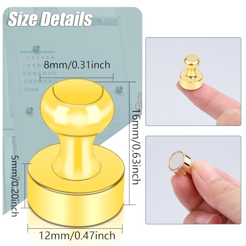 22 Pack Fridge Magnets Strong Magnets for Whiteboard (Gold_22p)