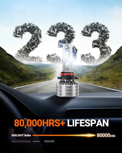 9005 Bulbs 120 (White / 9005)