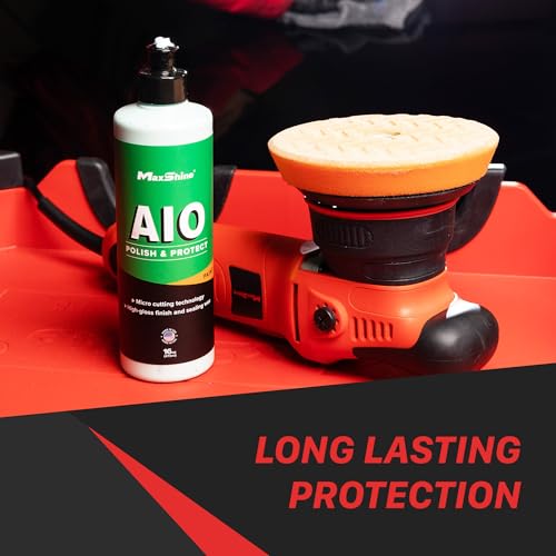 All-in-One Polish & Protect, 16oz | Synthetic Polymer Formula, Removes Swirls & Oxidation, Gloss Finish | Paint Correction & Protection (16oz)