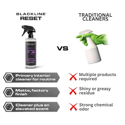 Reset Interior Car Cleaner & Deodorizer Spray (16 Fl Oz (Pack of 1))