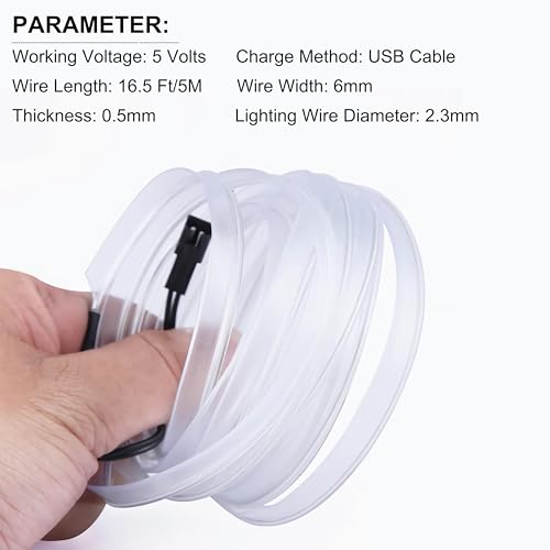 EL Wire Interior Car LED Lights (White / 5M/16.5FT)