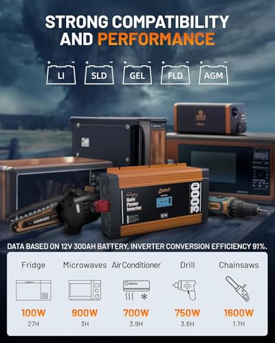 Pure Sine Wave Inverter 3000W (3000W)