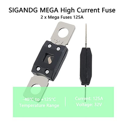 125A MEGA High Current Fuse (125A)