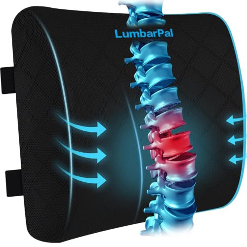 Lumbar Support Pillow for Office Chair Back Support Lumbar Pillow for Car (Black)