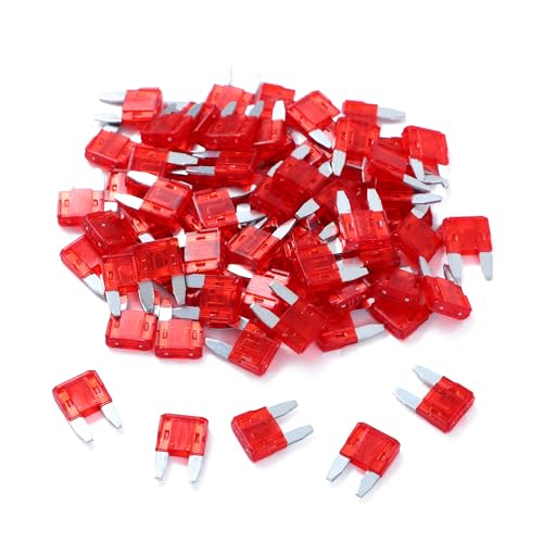 100 Pack Auto Fuses 10AMP APM (10 AMP)