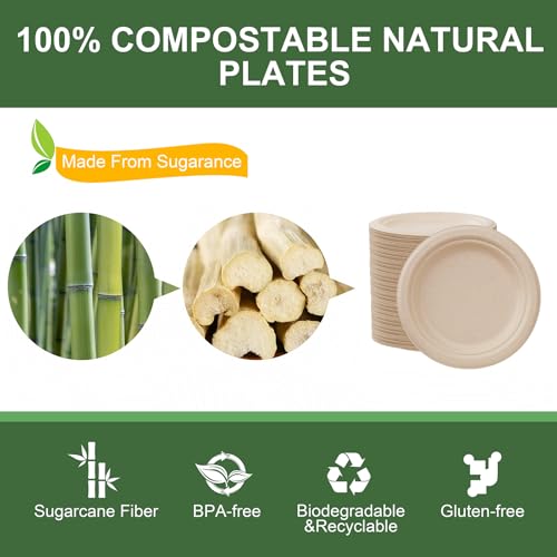 7 Inch Paper Plates 125 (Natural / 7Inch（125 PCS）)