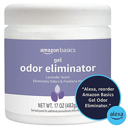 Gel Odor Eliminator (17 Ounce (Pack of 1))
