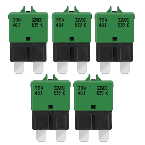 Circuit Breaker Fuse E39 (5 Pack / 30A)