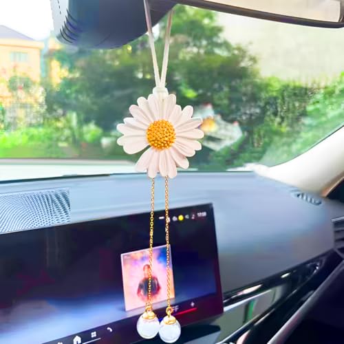 Funny Swinging Duck Car Mirror Hanging Ornament (Ac)