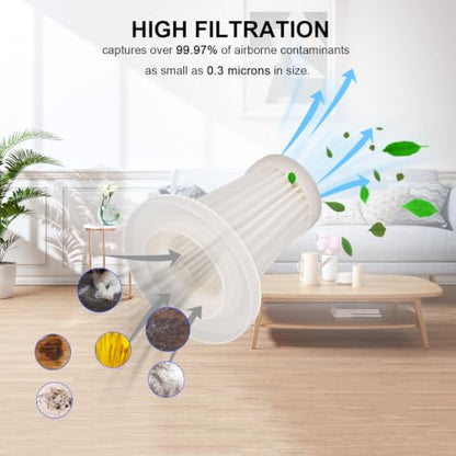 HEPA Filter Replacement for Auloea V01