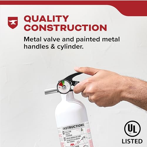 Auto 10 Fire Extinguisher for Cars and Trucks (Small - 2.9 lbs.)