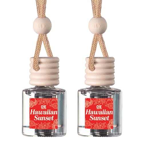 CANDECraftCo 2 Pack Hanging Car Air Freshener Diffuser for Essential Oils