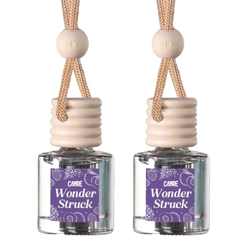 CANDECraftCo 2 Pack Hanging Car Air Freshener Diffuser for Essential Oils