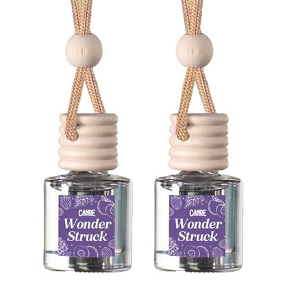 CANDECraftCo 2 Pack Hanging Car Air Freshener Diffuser for Essential Oils