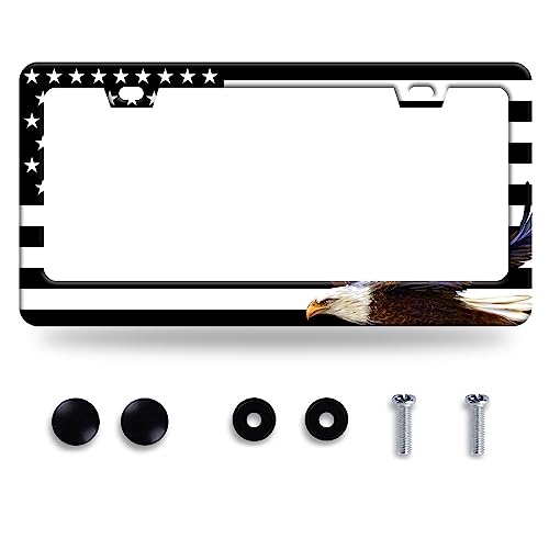 American Flag Eagle License Plate Stainless Steel Parts 12.3" x 6.3" (American flag and eagle)